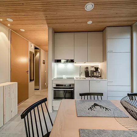 Aurora B5 Ski-in Ski-out, Mountain View By Aavalevi