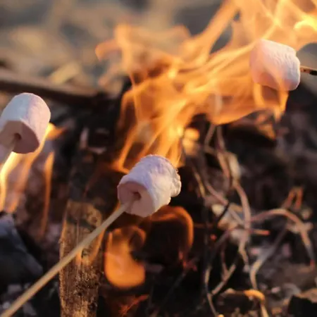 Aurora B5 Ski-in Ski-out, Mountain View By Aavalevi Levi