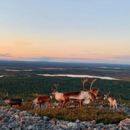 Aurora B5 Ski-in Ski-out, Mountain View By Aavalevi * Levi