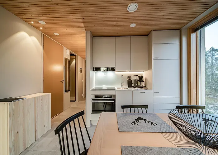 Aurora Gielas B5 Ski-in Ski-out, Mountain View By Aavalevi