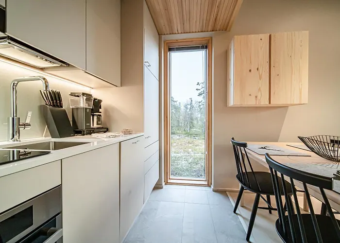 Aurora Gielas B5 Ski-in Ski-out, Mountain View By Aavalevi Levi