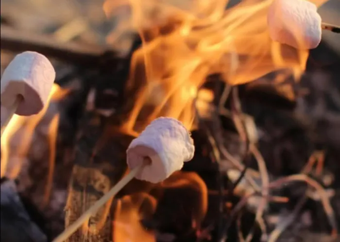 Aurora Gielas B5 Ski-in Ski-out, Mountain View By Aavalevi Levi