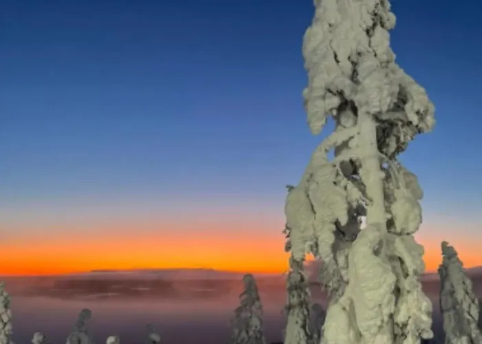 Aurora Gielas B5 Ski-in Ski-out, Mountain View By Aavalevi Apartament *